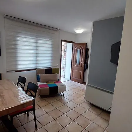 Augusta * 奥伦佐卡多利