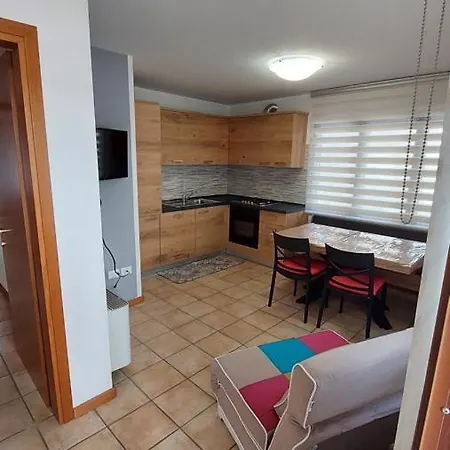 Augusta 奥伦佐卡多利